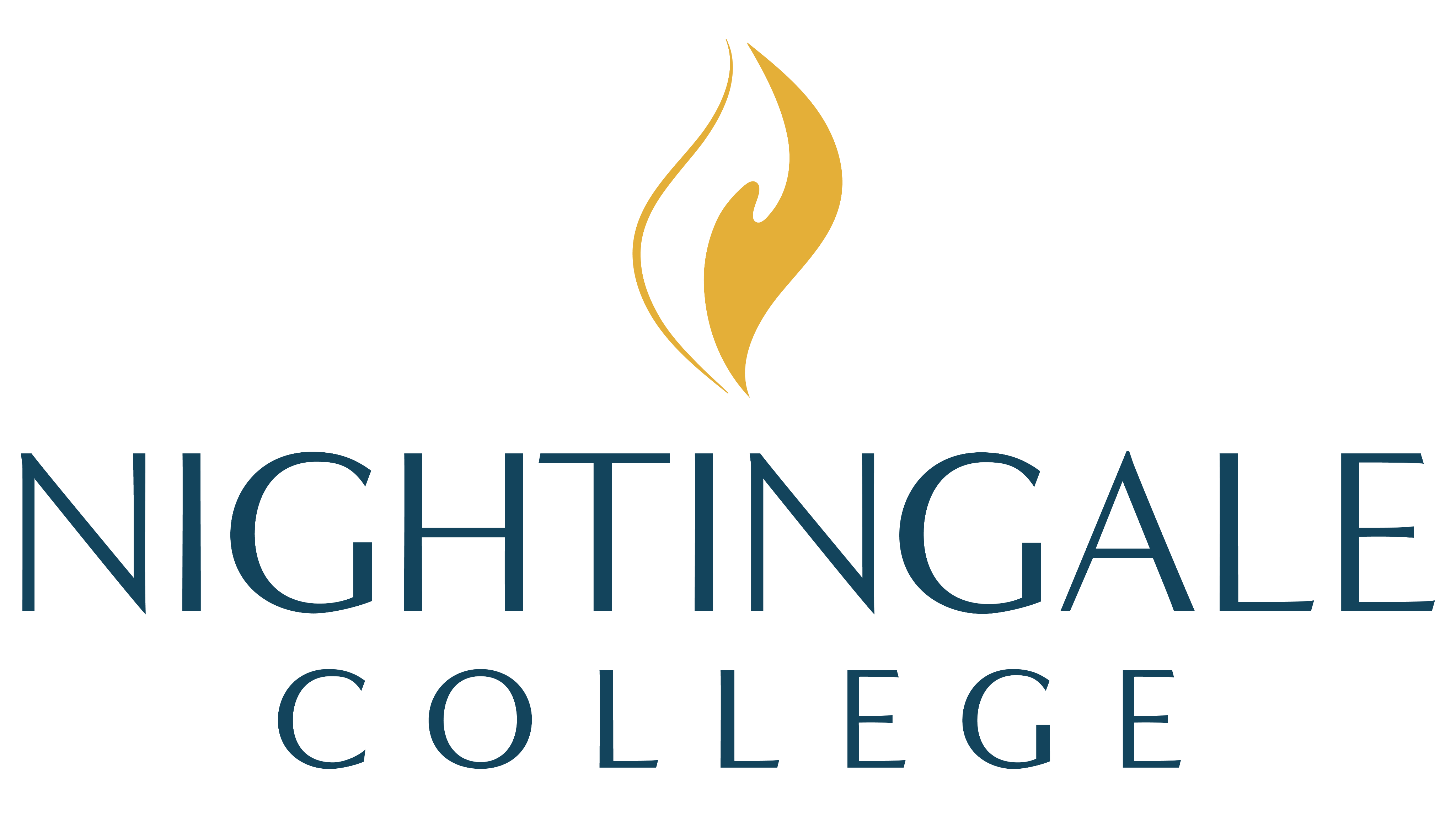 Nightingale Connect Logo